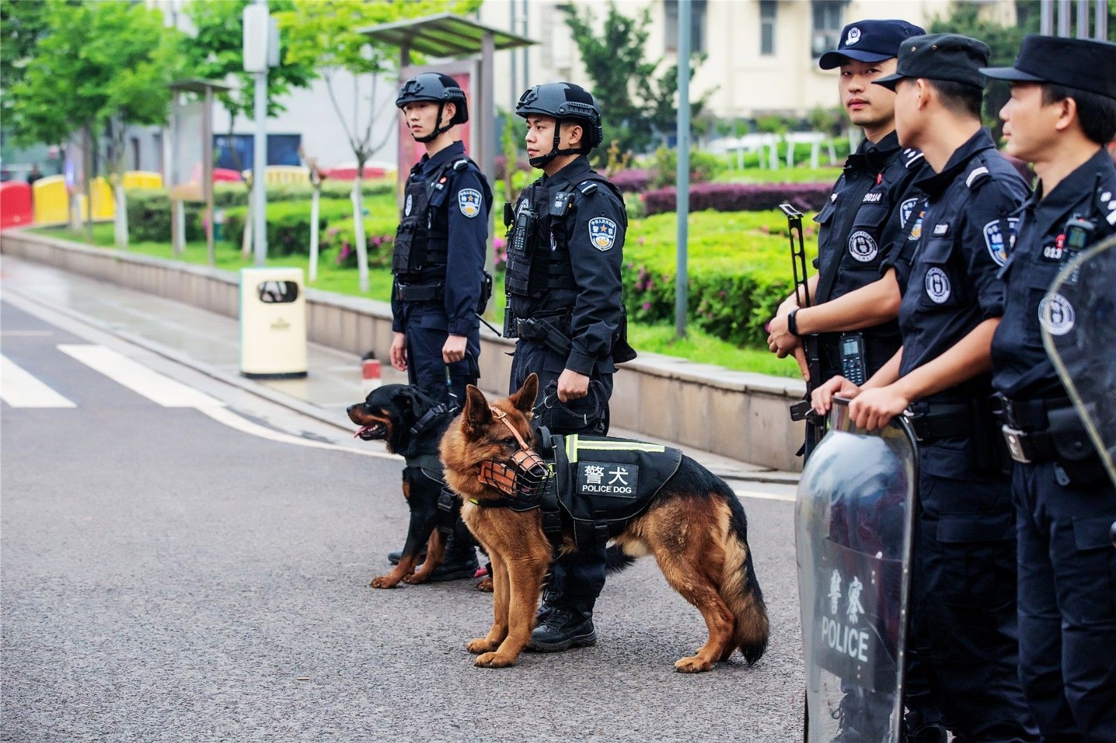 湖南熊猫体育管理有限公司